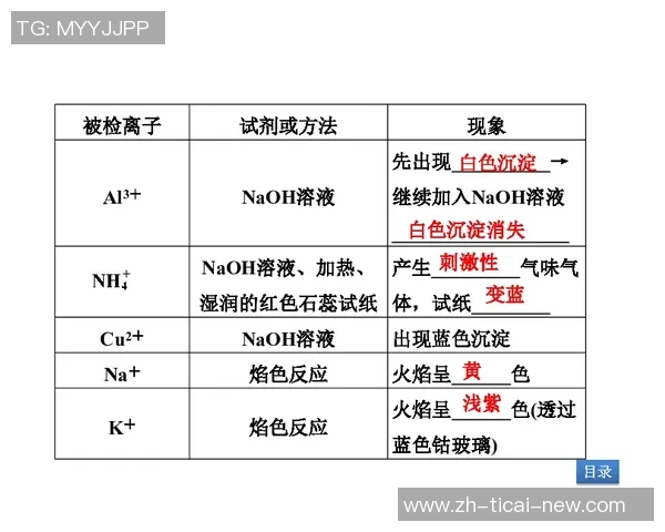 重庆排球队的阵地战策略解析与深度剖析排球竞技的魅力与挑战